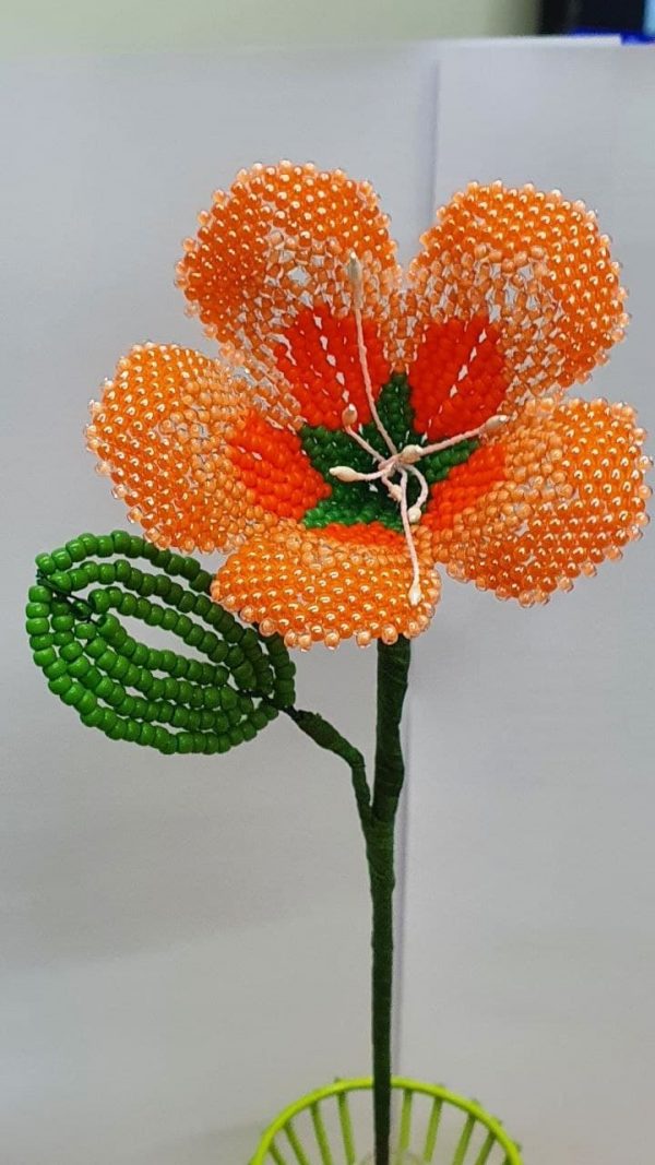 Fiore stelo lungo arancione