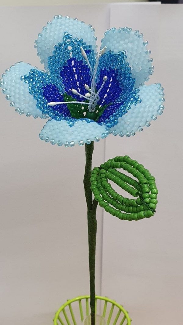 Fiore stelo lungo blu