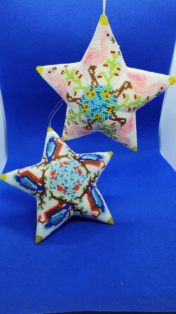 Stelle uccelli 1